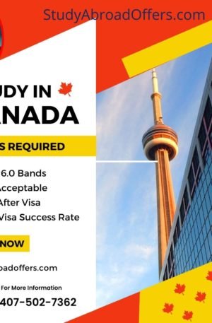 Undergraduate Degree Canada