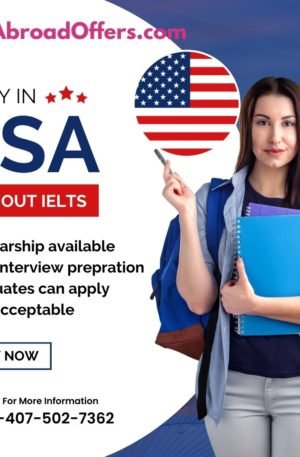 Undergraduate Degree USA